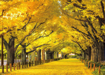 beverly-66-191-ginkgo-trees-at-jingu-gaien-600-pieces-jigsaw-puzzle