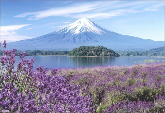 Beverly 71-326　Scenery • Lavender Fragrant Mount Fuji　1000 Pieces Jigsaw Puzzle