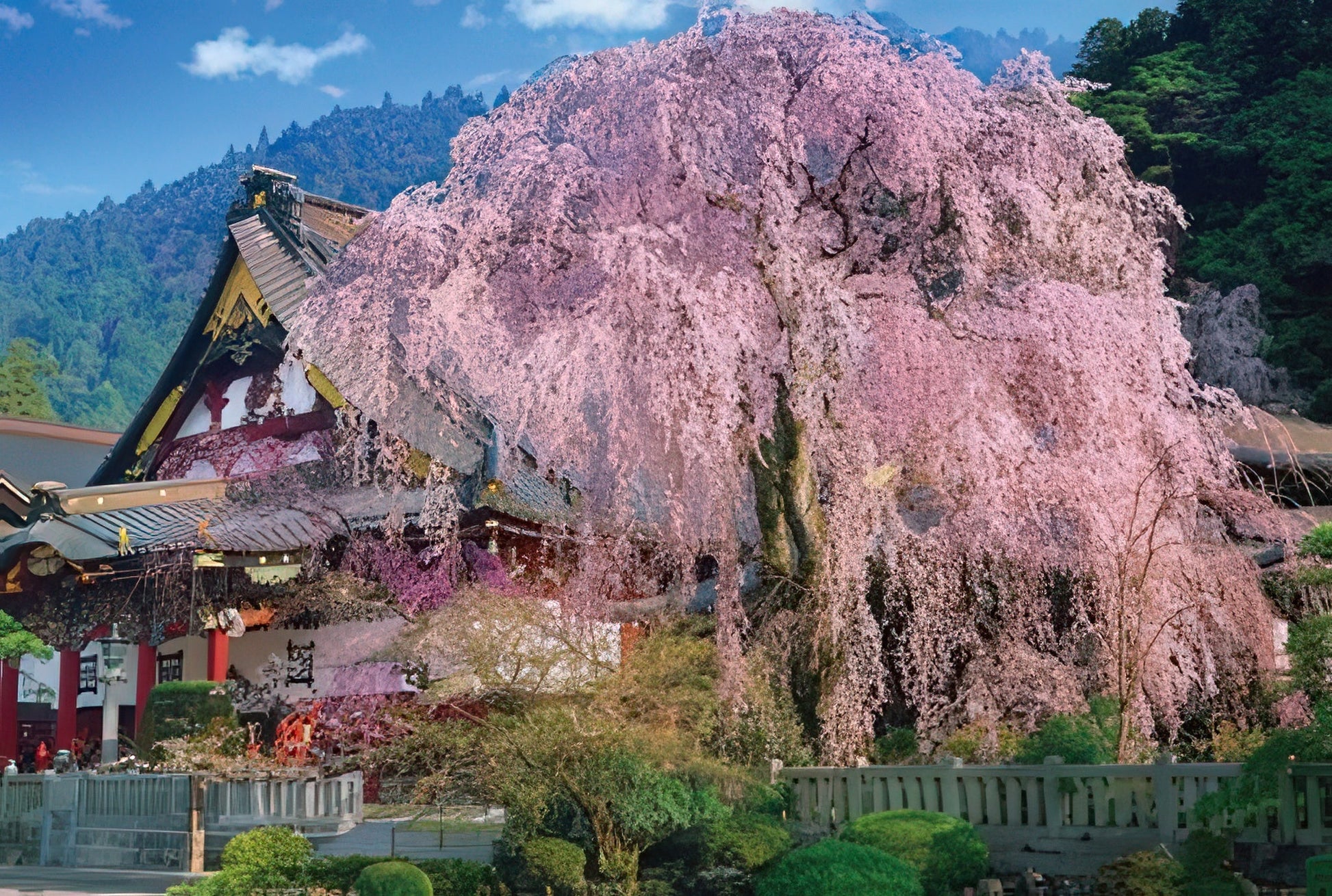 beverly-71-385-weeping-cherry-blossoms-at-kuon-ji-temple-1000-pieces-jigsaw-puzzle