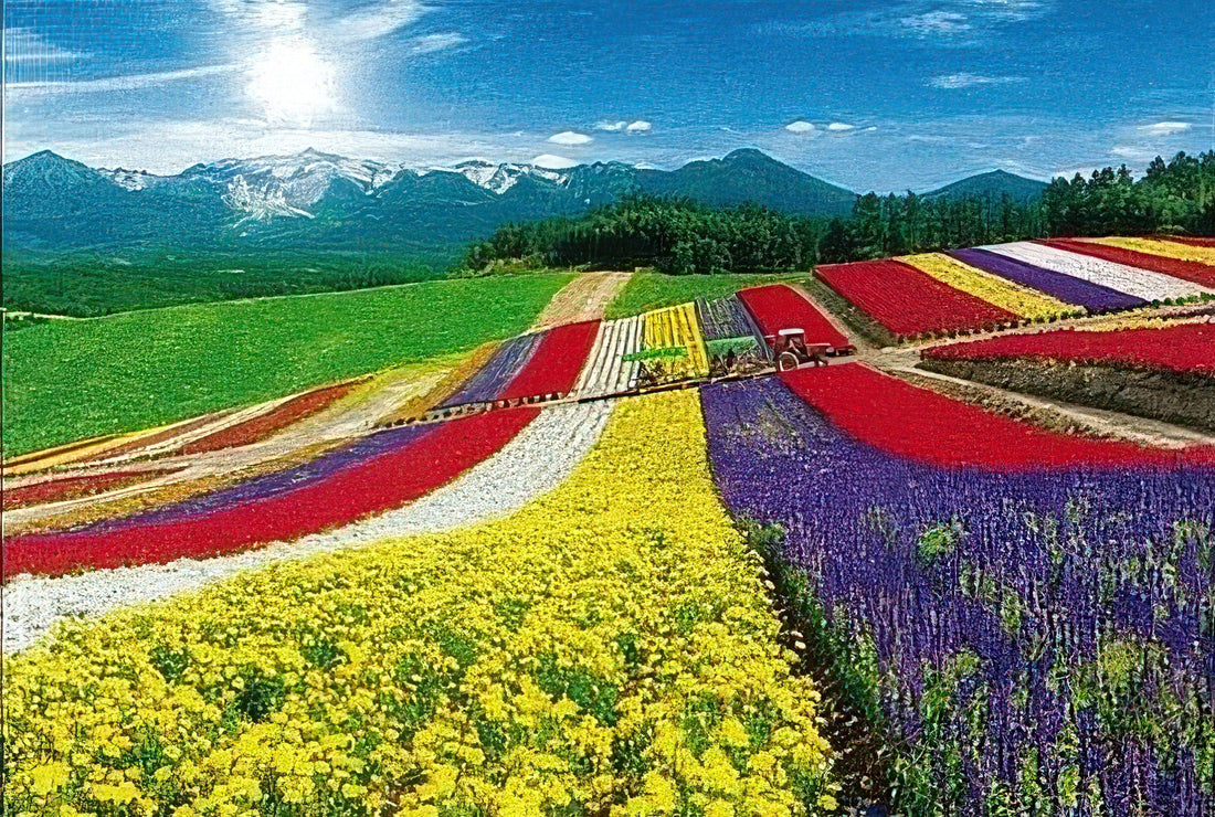 beverly-71-390-colorful-flower-garden-1000-pieces-jigsaw-puzzle