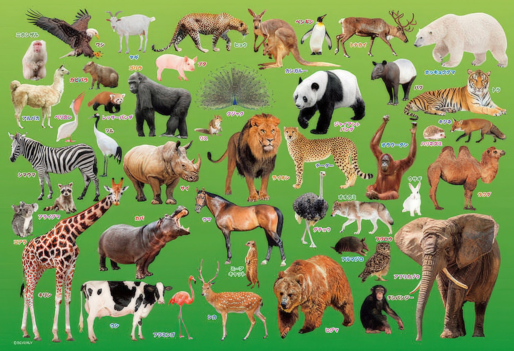 beverly-80-015-let-s-learn-animals-80-pieces-jigsaw-puzzle