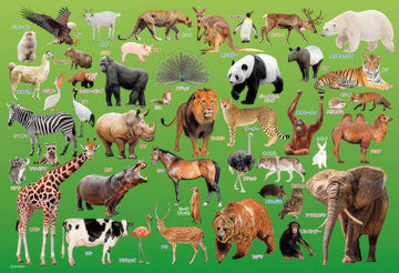 beverly-80-015-let's-learn-about-animals-80-pieces-kids-puzzle
