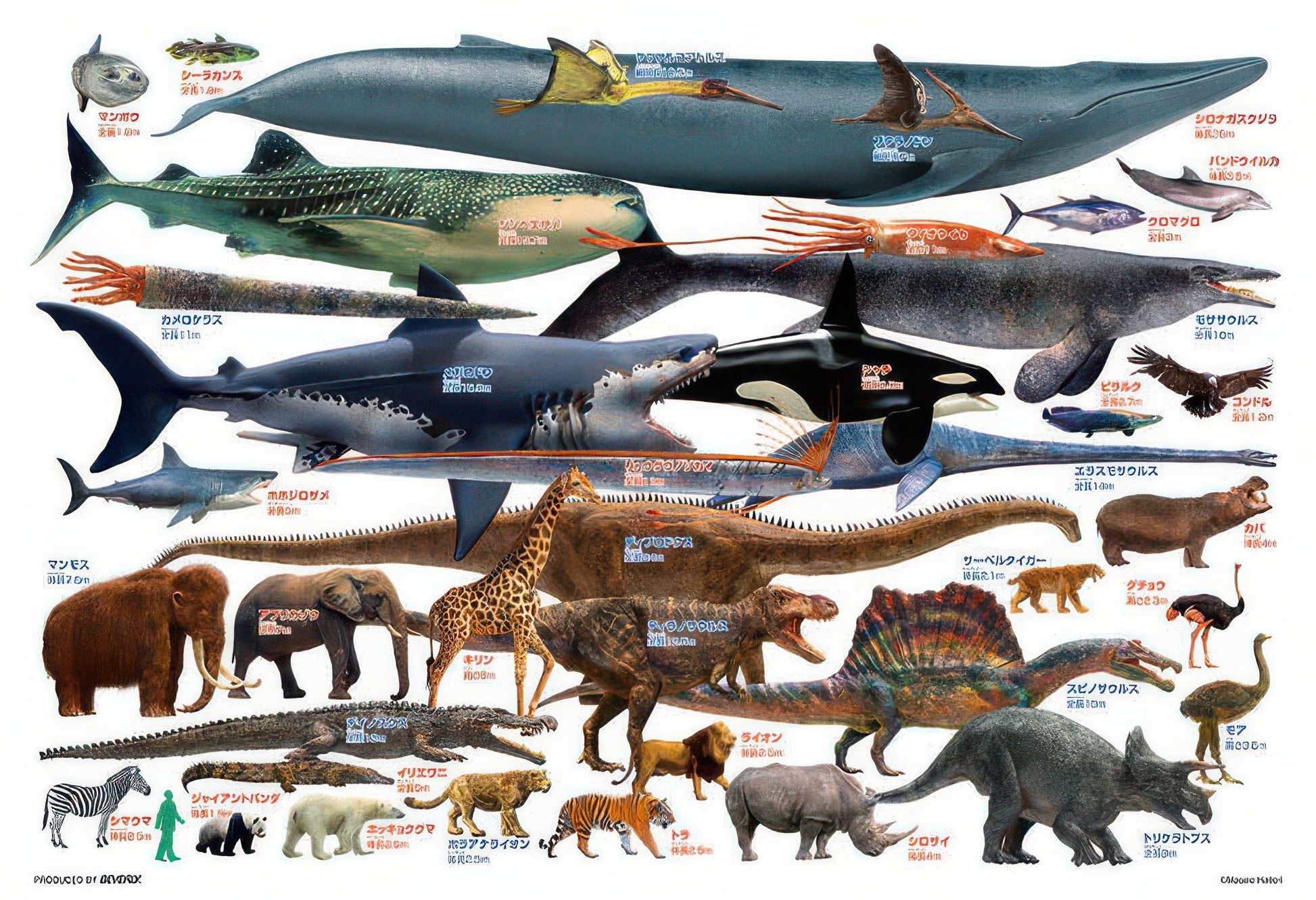 beverly-80-028-let's-compare-giant-creatures-80-pieces-kids-puzzle