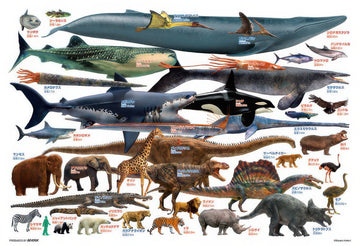 beverly-80-028-let's-compare-giant-creatures-80-pieces-kids-puzzle