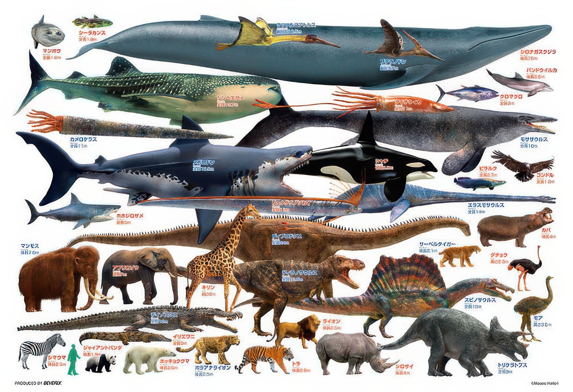 beverly-80-028-dinosaur-let-s-compare-giant-creatures-80-pieces-jigsaw-puzzle