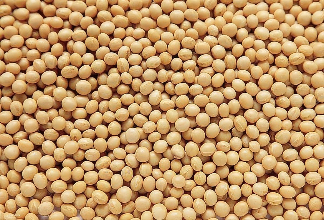 beverly-83-082-soybeans-with-chopsticks-hell-300-pieces-impossible-puzzle