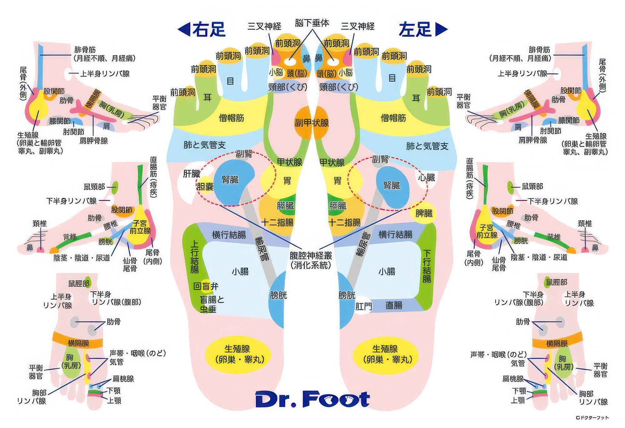 beverly-83-088-foot-massage-300-pieces-jigsaw-puzzle