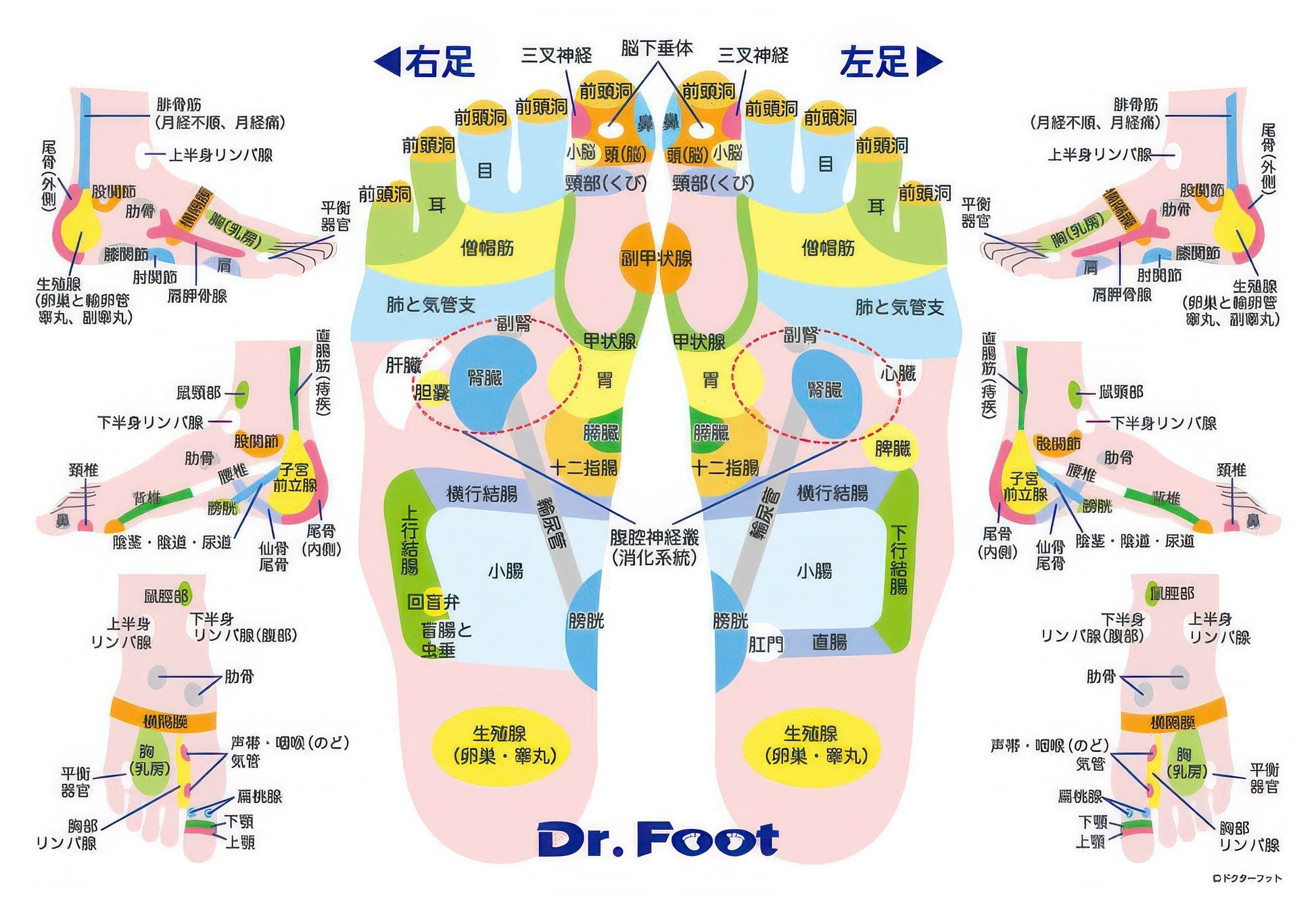 beverly-83-088-foot-massage-300-pieces-jigsaw-puzzle