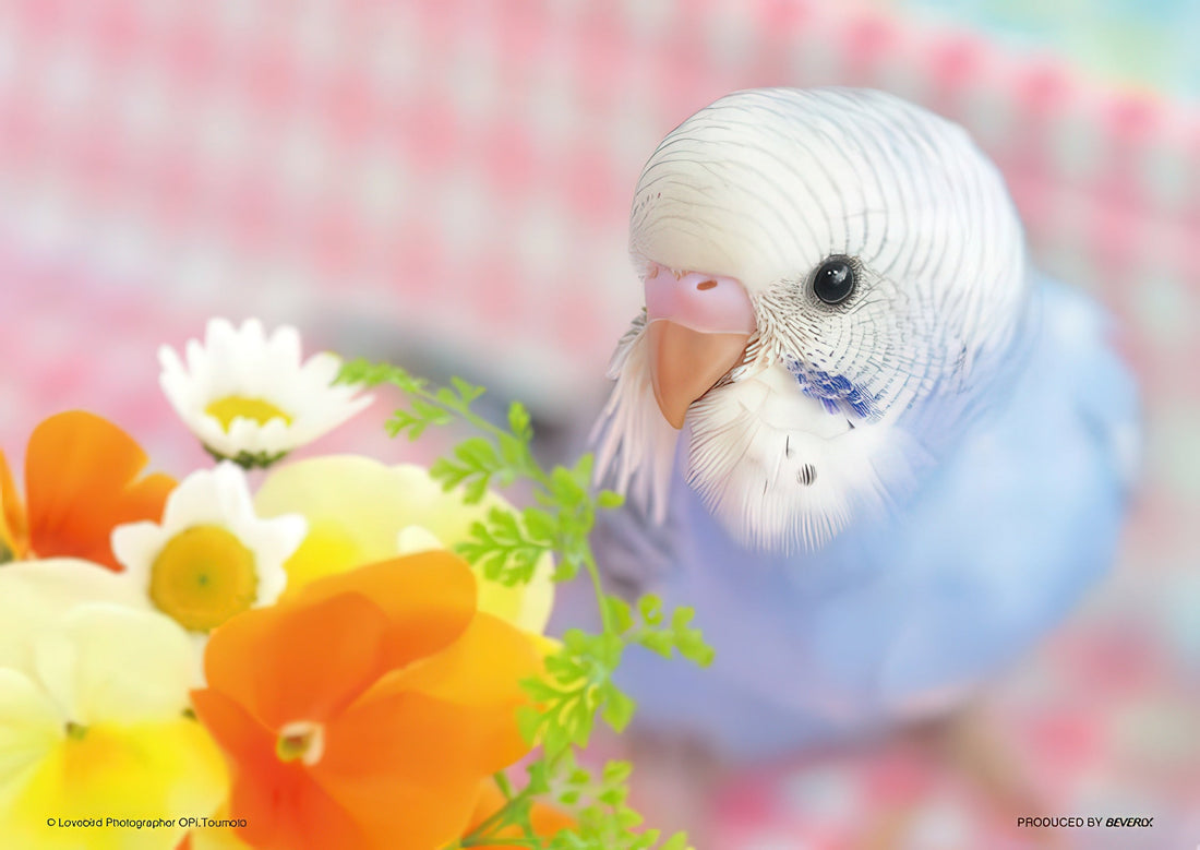 beverly-88-018-i-love-parakeets-88-pieces-kids-puzzle