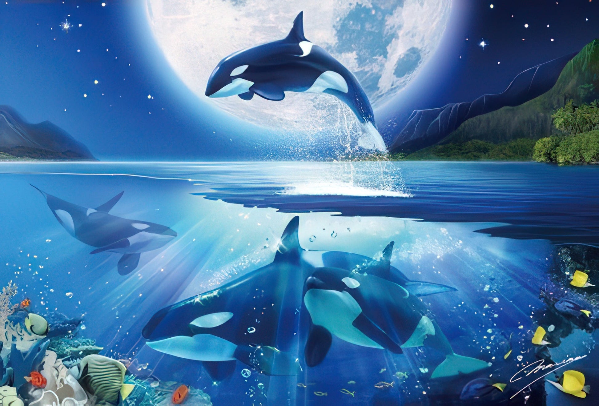 beverly-91-117-blue-ocean---moonlight-1000-pieces-jigsaw-puzzle