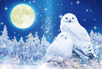 beverly-91-129-white-owl---prism-of-fortune-1000-pieces-jigsaw-puzzle