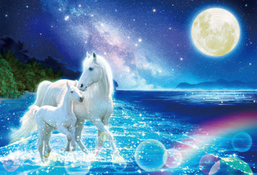 beverly-91-131-bonds-of-the-blue-sea-1000-pieces-jigsaw-puzzle