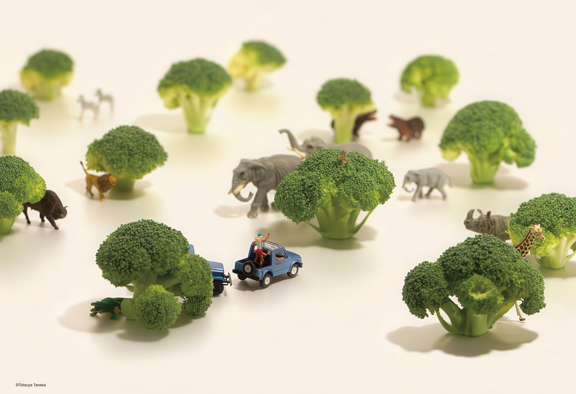 beverly-93-130-a-savannah-the-size-of-one-broccoli-300-pieces-jigsaw-puzzle