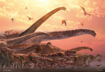 beverly-93-155-dinosaur-300-pieces-jigsaw-puzzle