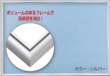 beverly-ap008s-alum-flash-panel-1-b-silver-puzzle-frame