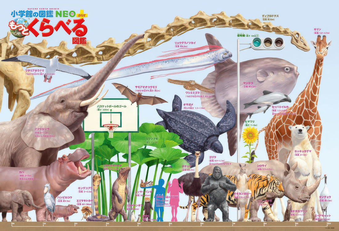 beverly-b61-418-animal-land-creature-size-chart-300-pieces-jigsaw-puzzle