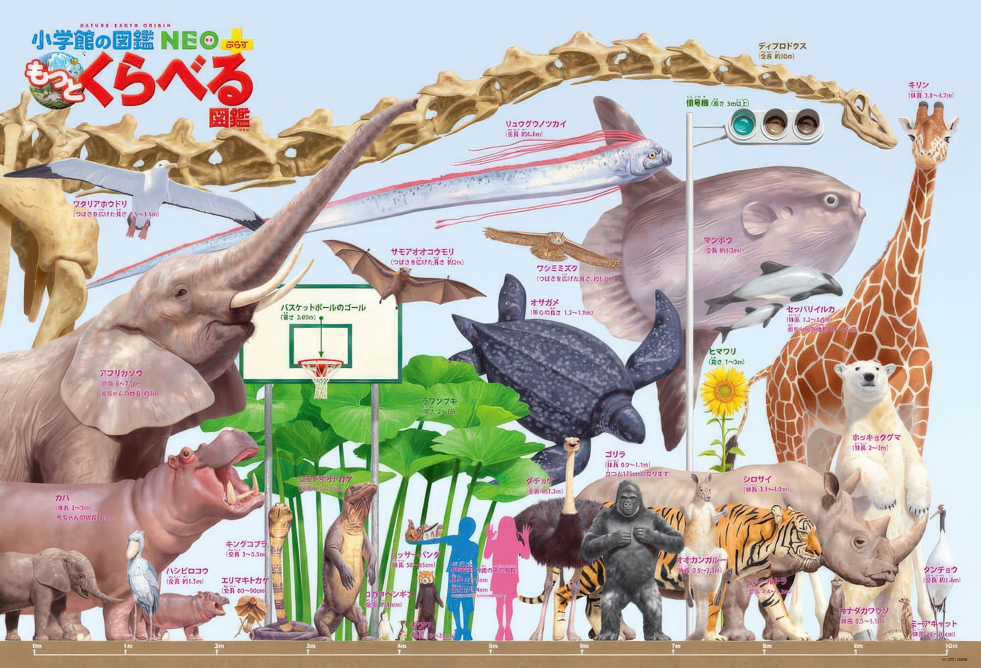 beverly-b61-418-animal-land-creature-size-chart-300-pieces-jigsaw-puzzle