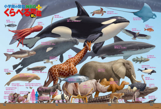 Beverly B61-419　Animal • Sea Creature Size Chart　300 Pieces Jigsaw Puzzle