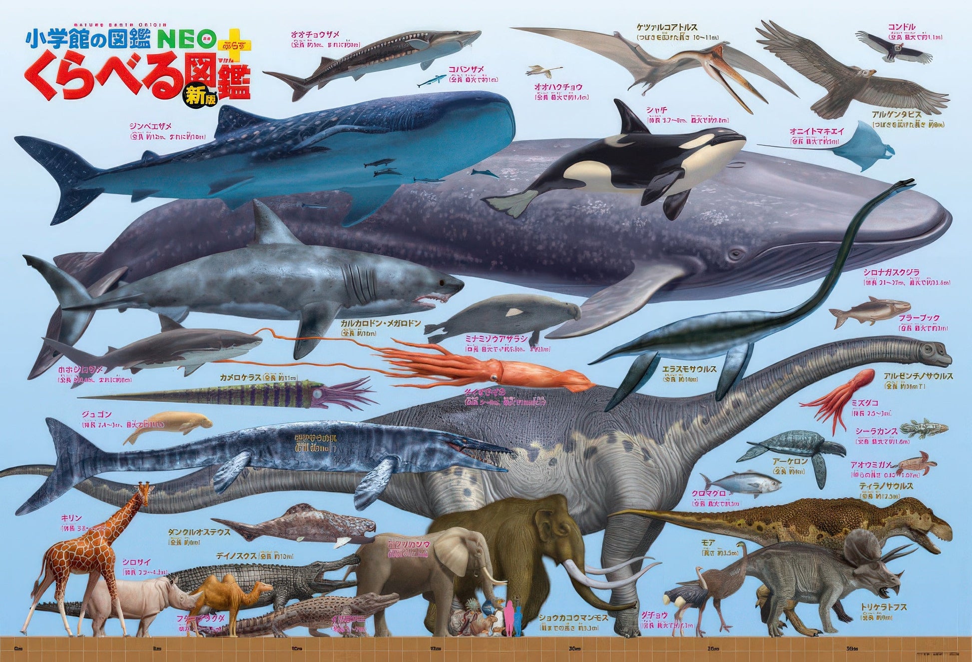 beverly-b61-420-dinosaur-prehistoric-creatures-size-chart-300-pieces-jigsaw-puzzle