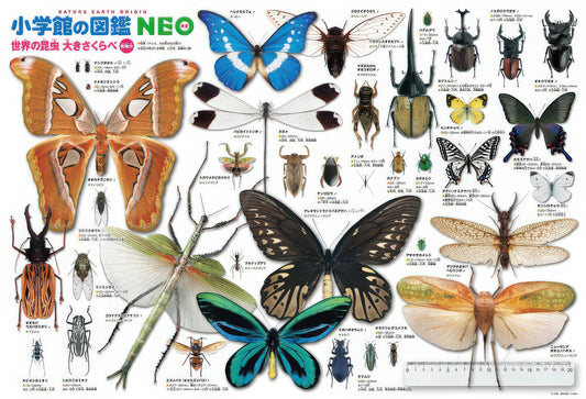 Beverly B61-423　Animal • Insects Size Chart　300 Pieces Jigsaw Puzzle