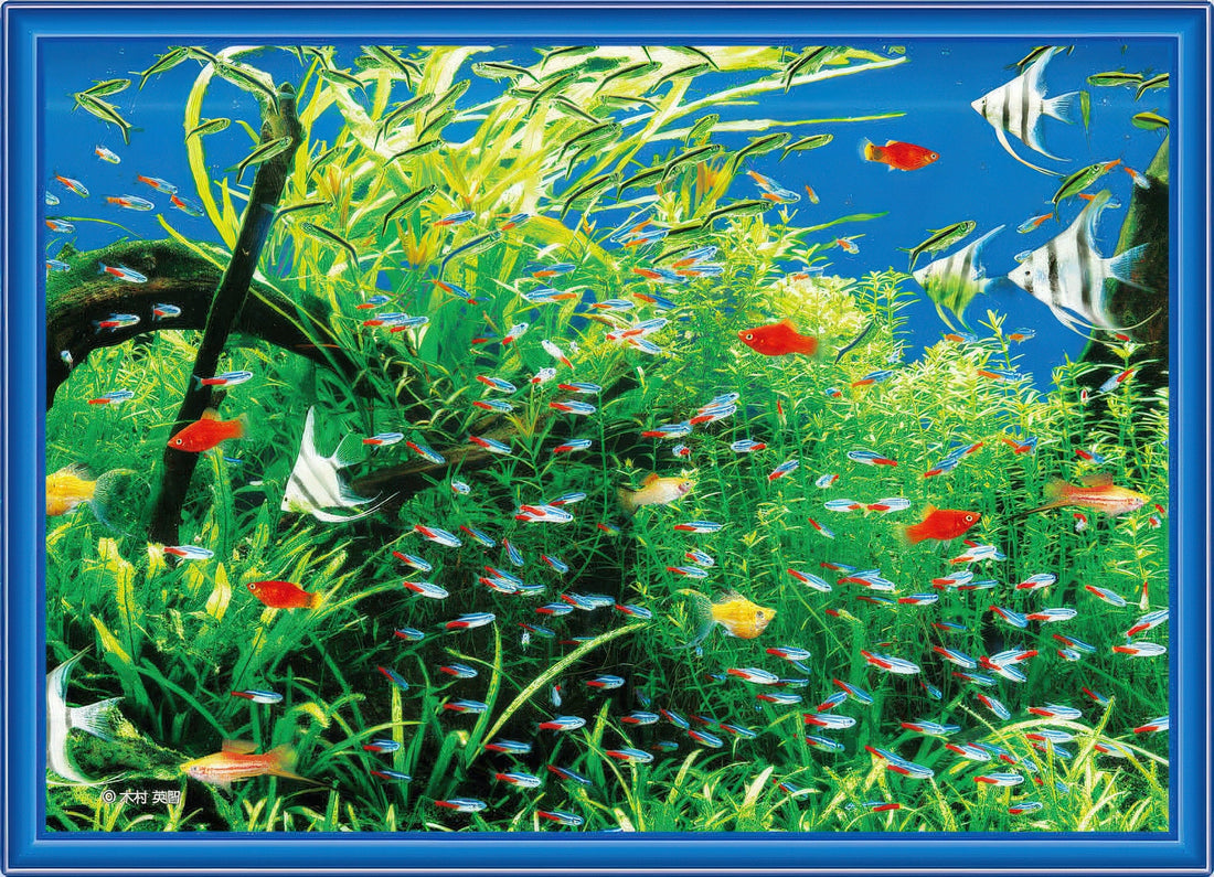 beverly-cjp-024-natural-aquarium-165-pieces-jigsaw-puzzle
