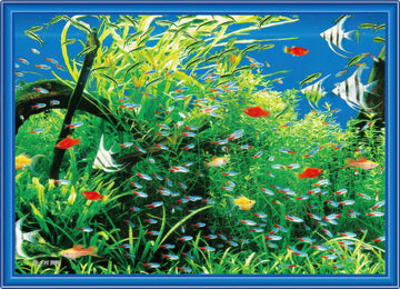 beverly-cjp-024-natural-aquarium-165-pieces-jigsaw-puzzle