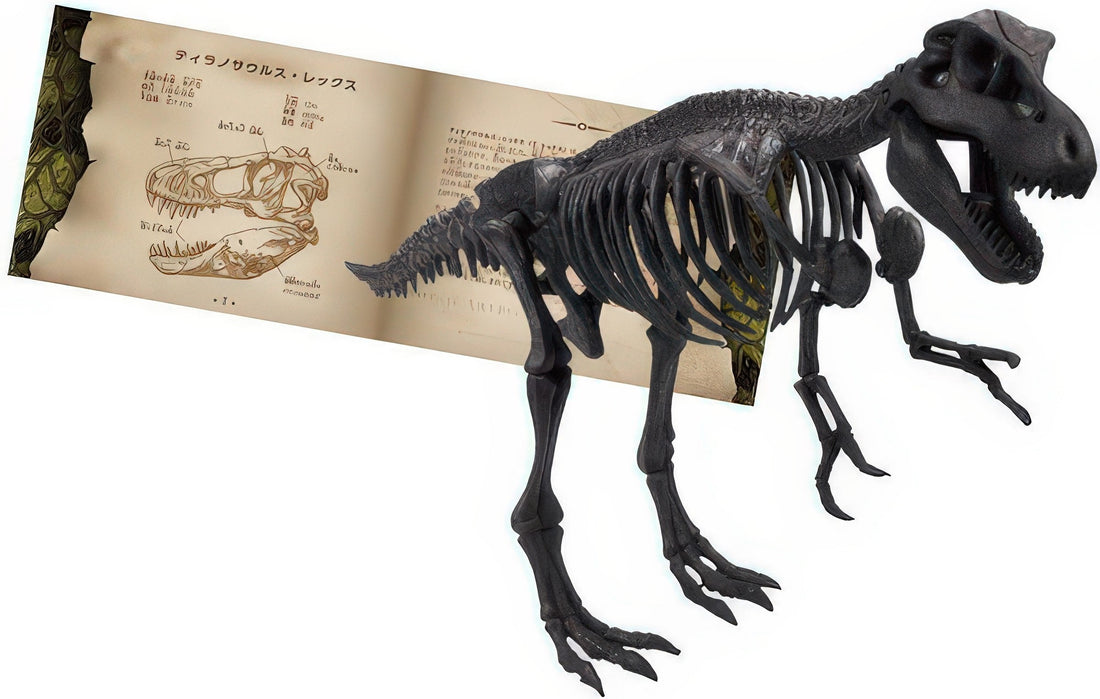 beverly-dn-005-tyrannosaurus-10-pieces-3d-puzzle