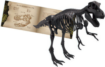 beverly-dn-005-tyrannosaurus-10-pieces-3d-puzzle