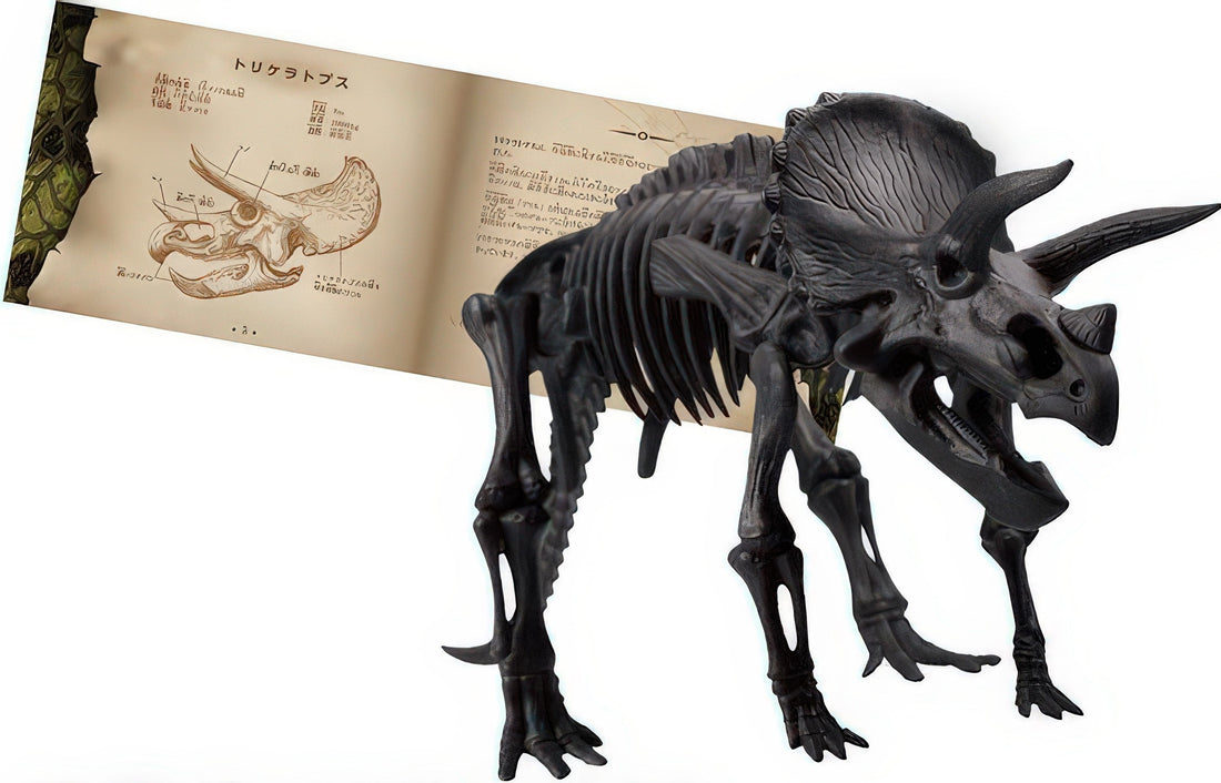 beverly-dn-007-triceratops-10-pieces-3d-puzzle