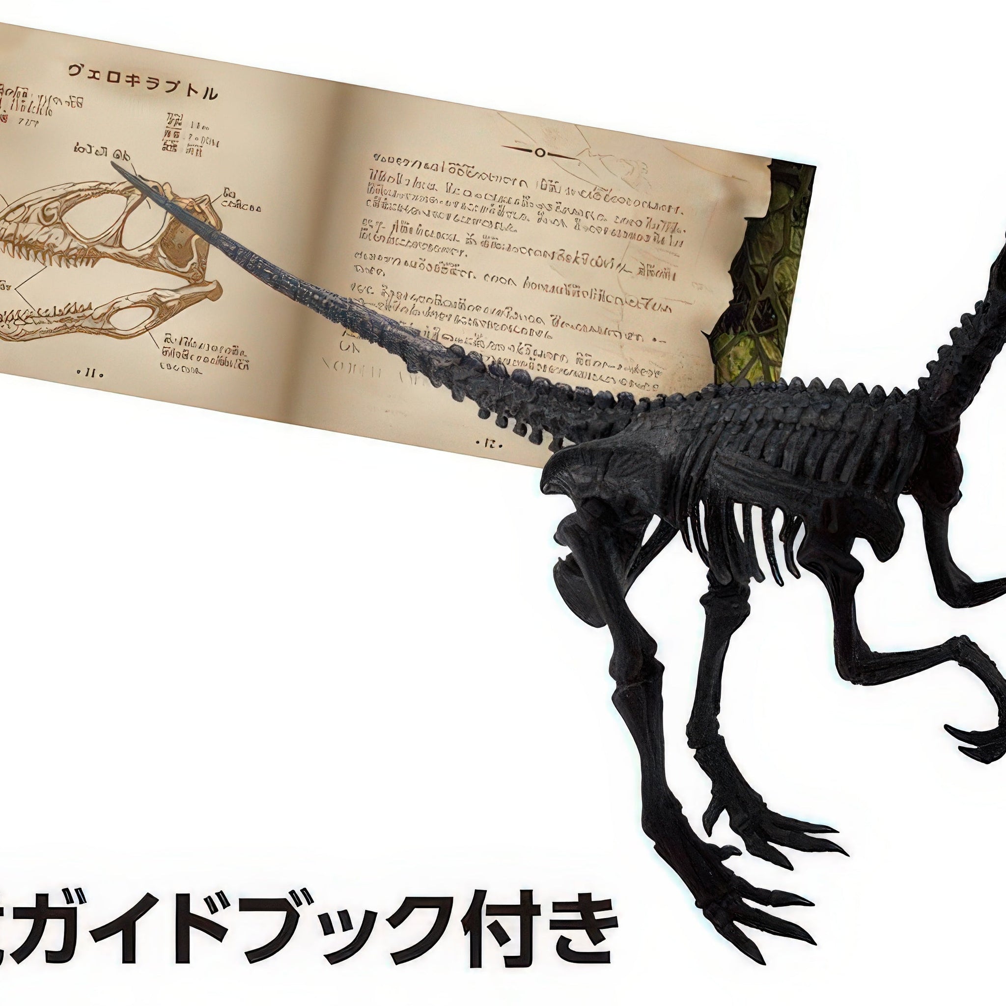 beverly-dn-008-velociraptor-10-pieces-3d-puzzle