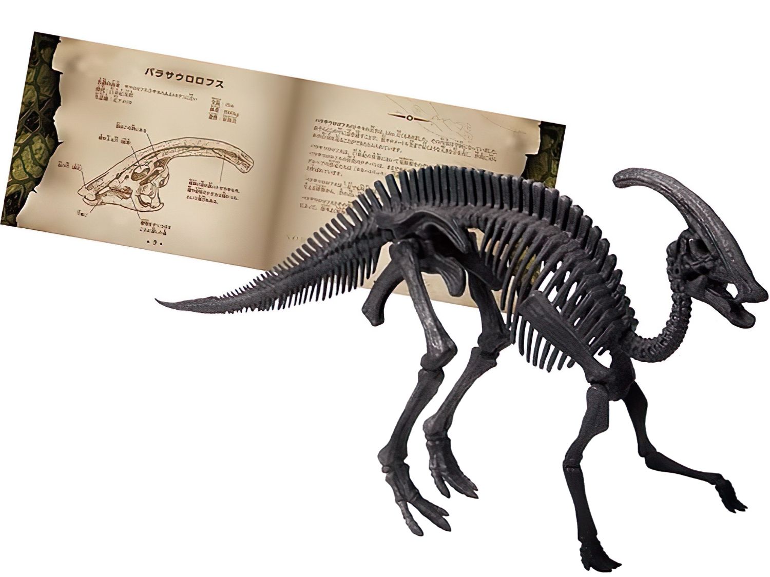Beverly • Creature • Parasaurolophus　3D Puzzle