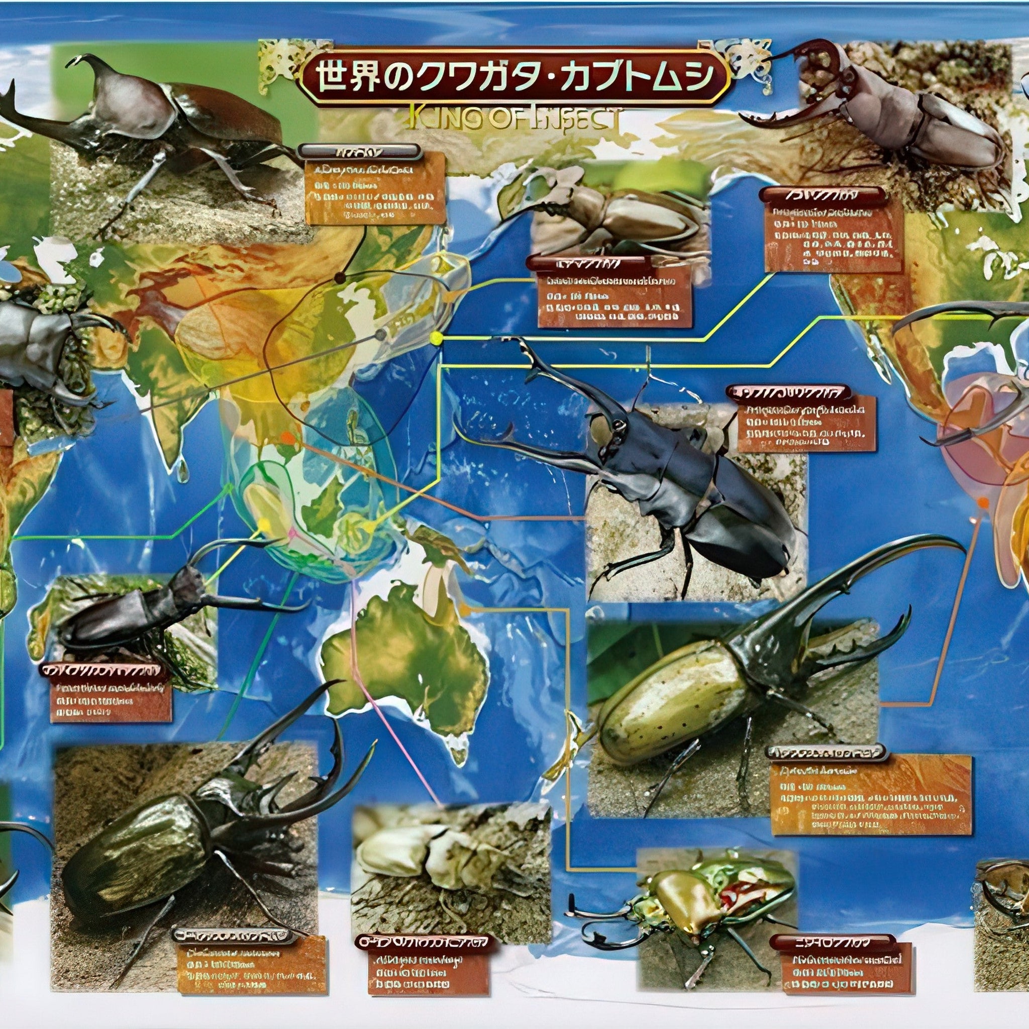 beverly-l74-106-world's-stag-beetles-and-beetles-150-pieces-jigsaw-puzzle