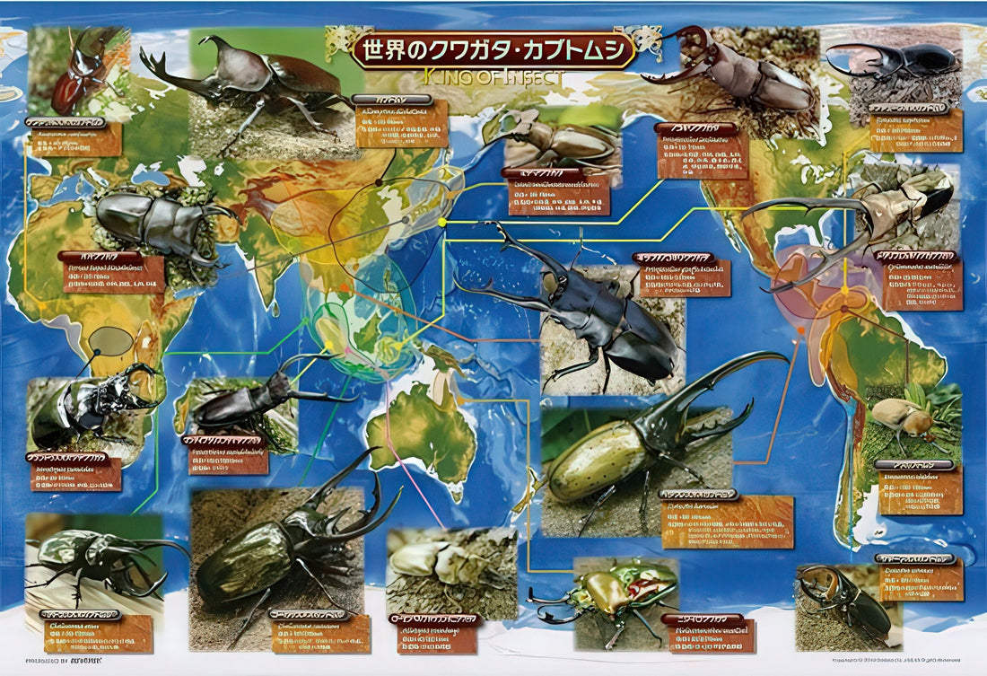 beverly-l74-106-world's-stag-beetles-and-beetles-150-pieces-jigsaw-puzzle