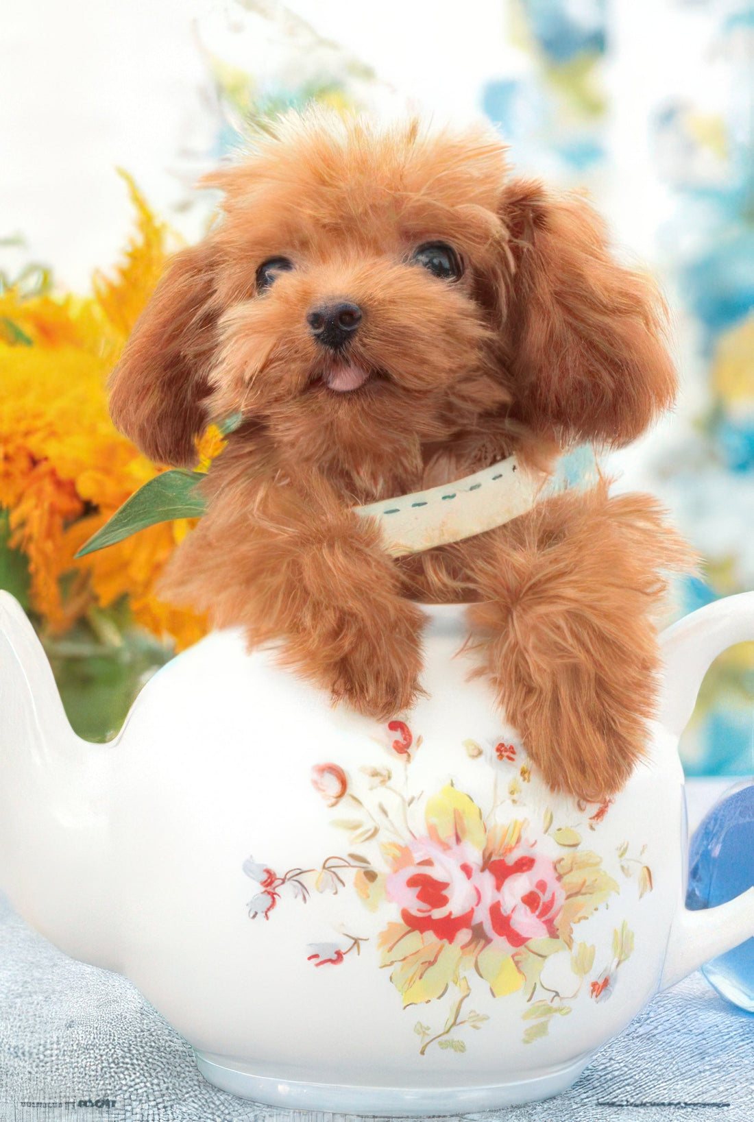 beverly-l74-111-animal-teddy-poodle-150-pieces-jigsaw-puzzle