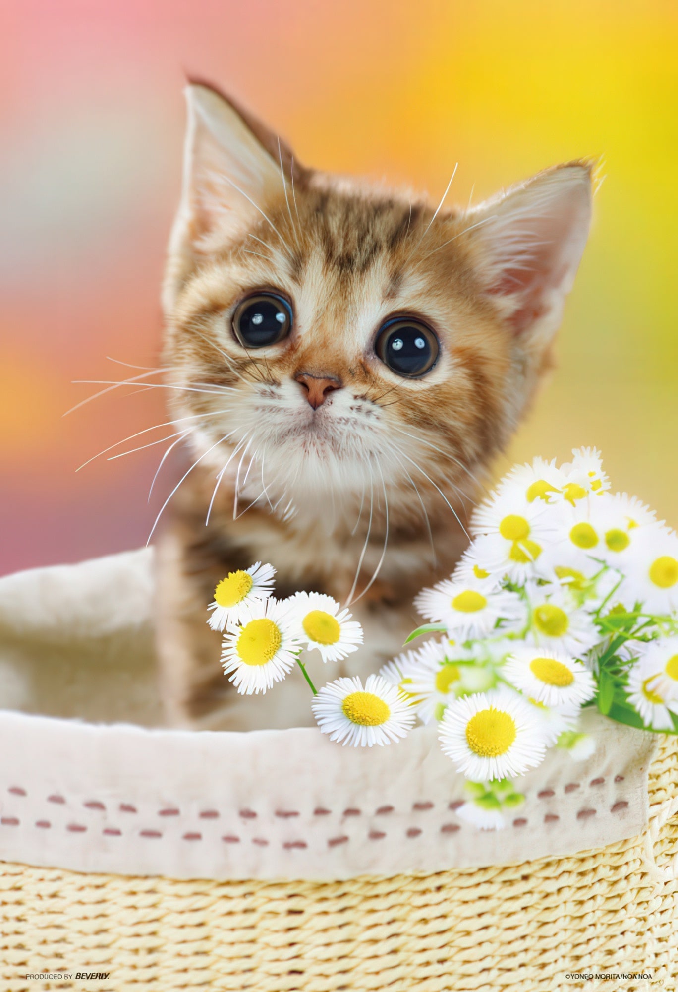 beverly-l74-113-i'm-waiting-150-pieces-jigsaw-puzzle