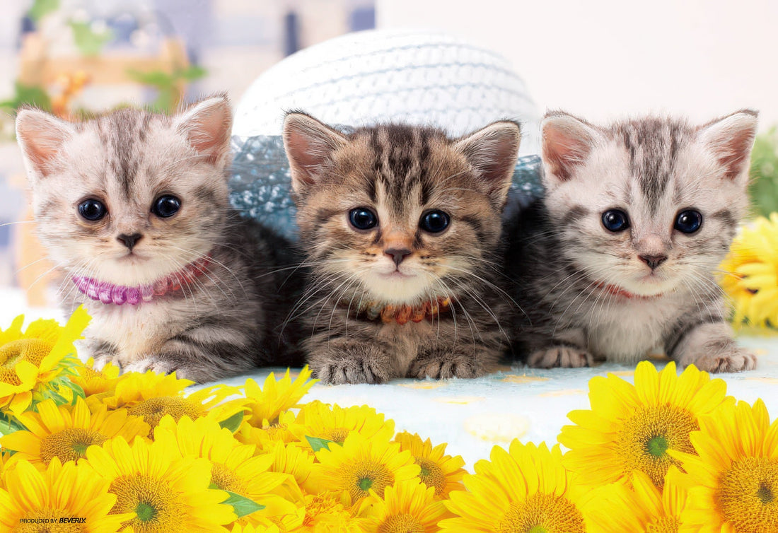 beverly-l74-114-snooty-cat-150-pieces-jigsaw-puzzle