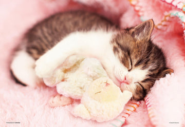 beverly-l74-146-dreamy-cat-150-pieces-jigsaw-puzzle