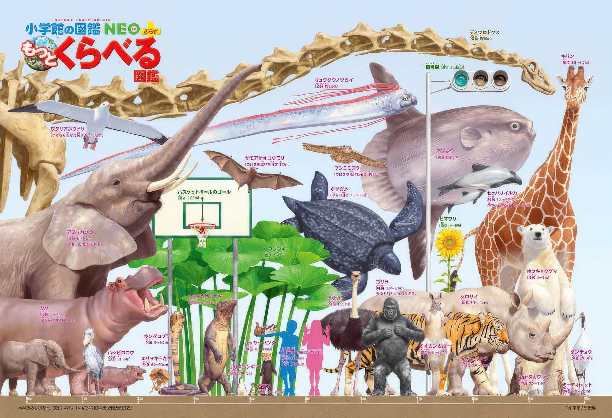 beverly-l74-151-animal-land-creature-size-chart-150-pieces-jigsaw-puzzle