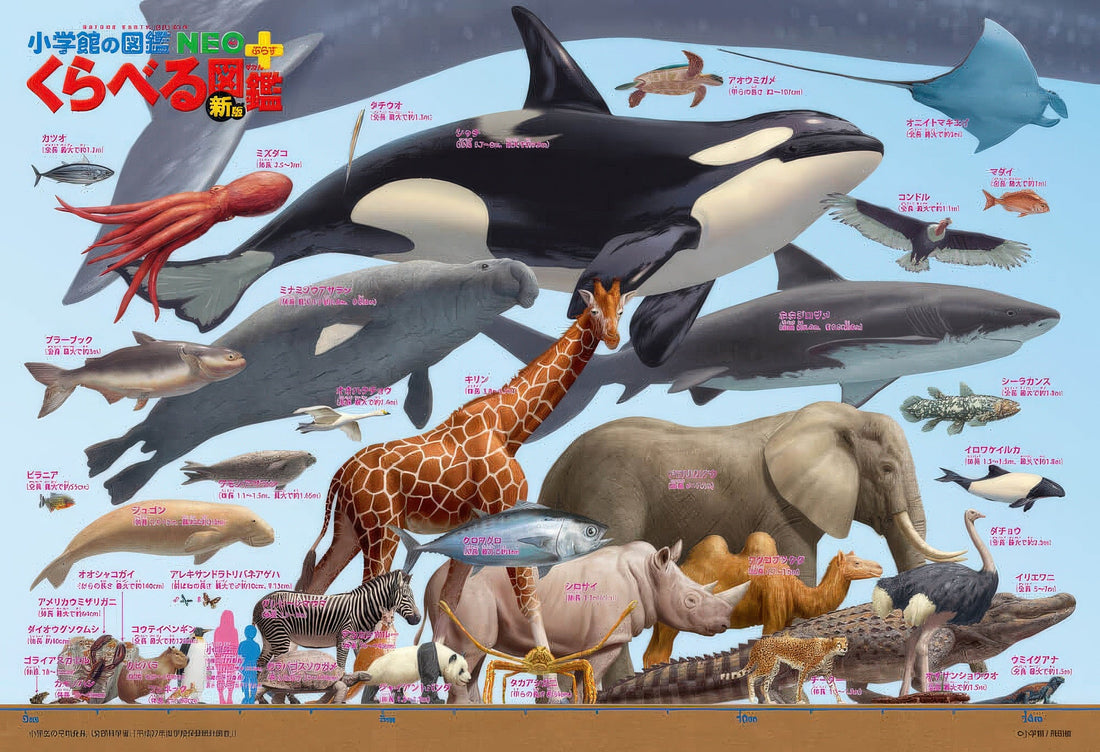 beverly-l74-152-animal-sea-creature-size-chart-150-pieces-jigsaw-puzzle