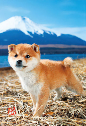 beverly-l74-162-wonderful-150-pieces-jigsaw-puzzle