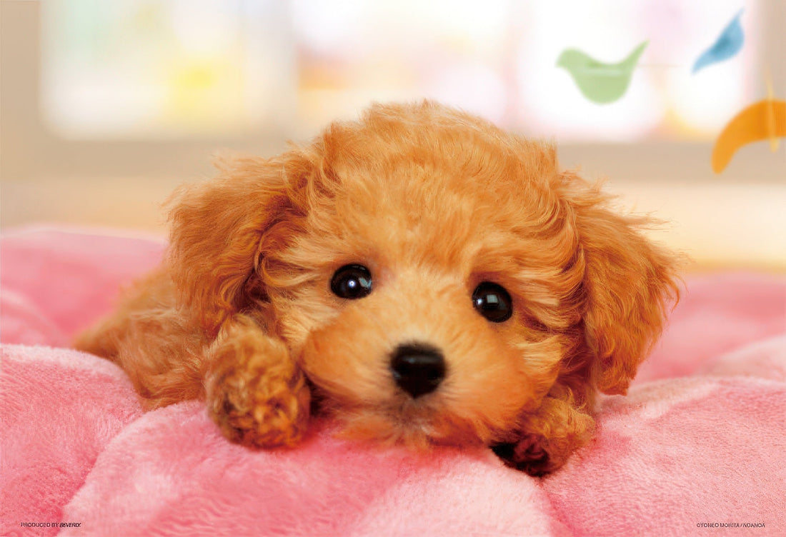 beverly-l74-163-tired-pooh-150-pieces-jigsaw-puzzle