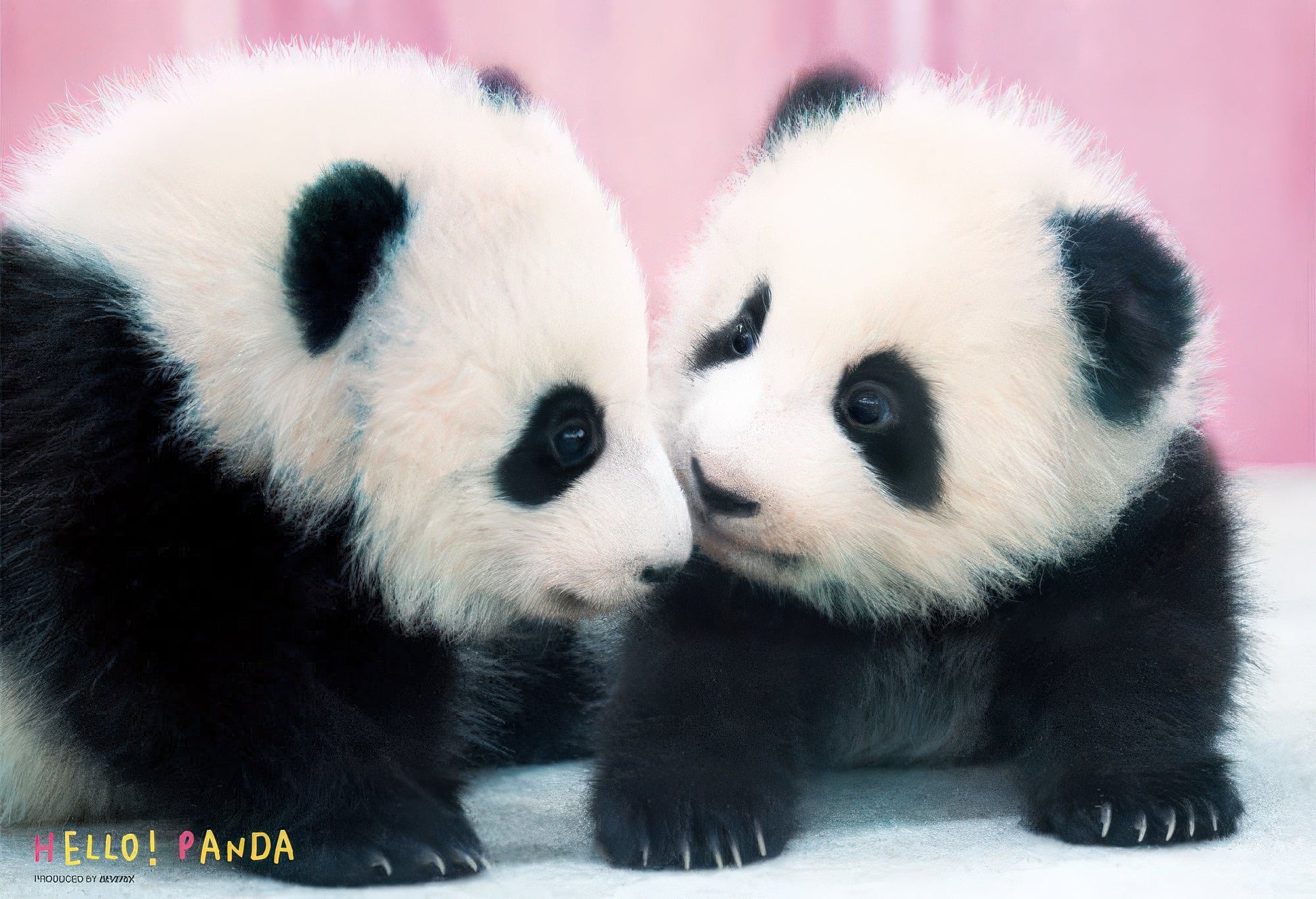 beverly-l74-164-hello-panda-150-pieces-jigsaw-puzzle