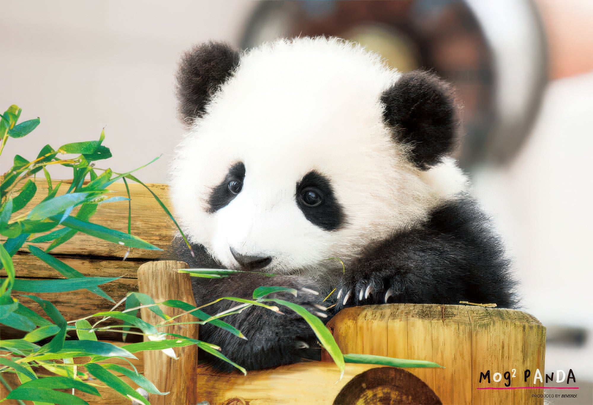 beverly-l74-165-munching-panda-150-pieces-jigsaw-puzzle