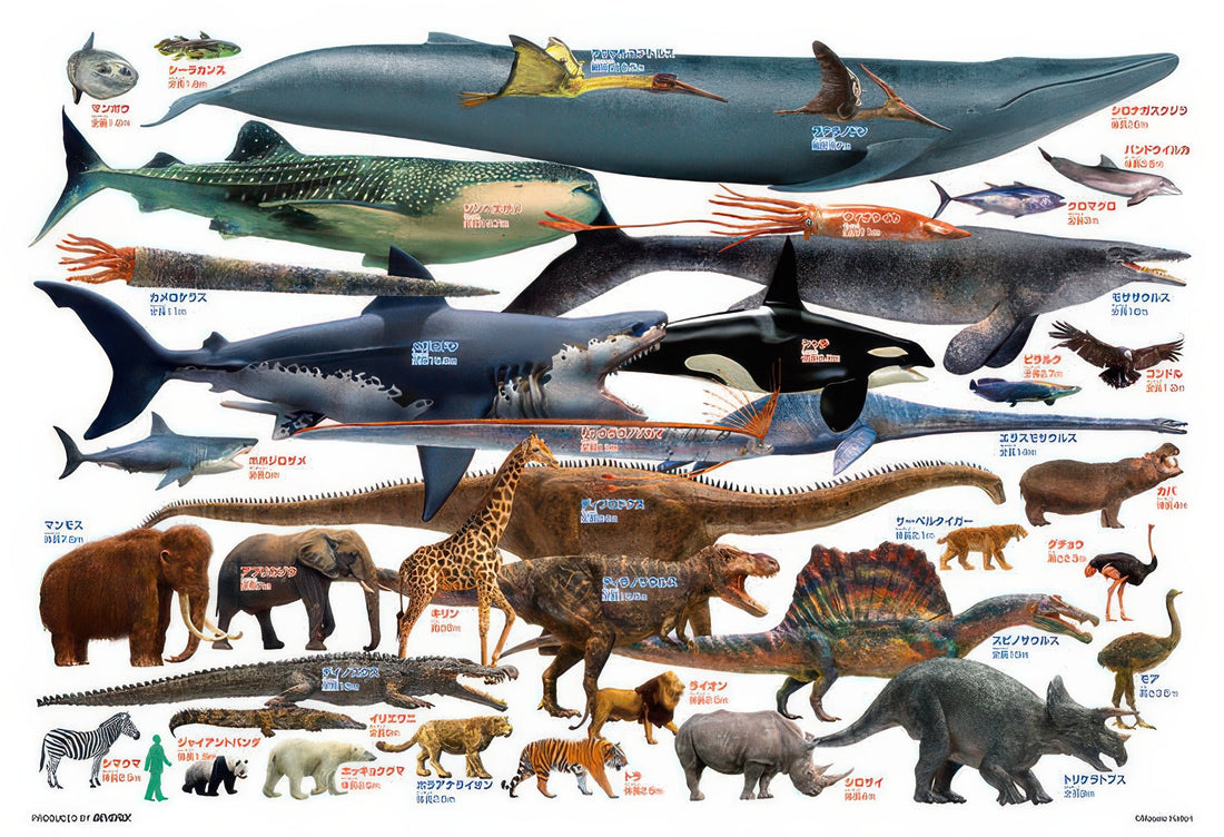 beverly-l74-184-dinosaur-let-s-compare-giant-creatures-150-pieces-jigsaw-puzzle