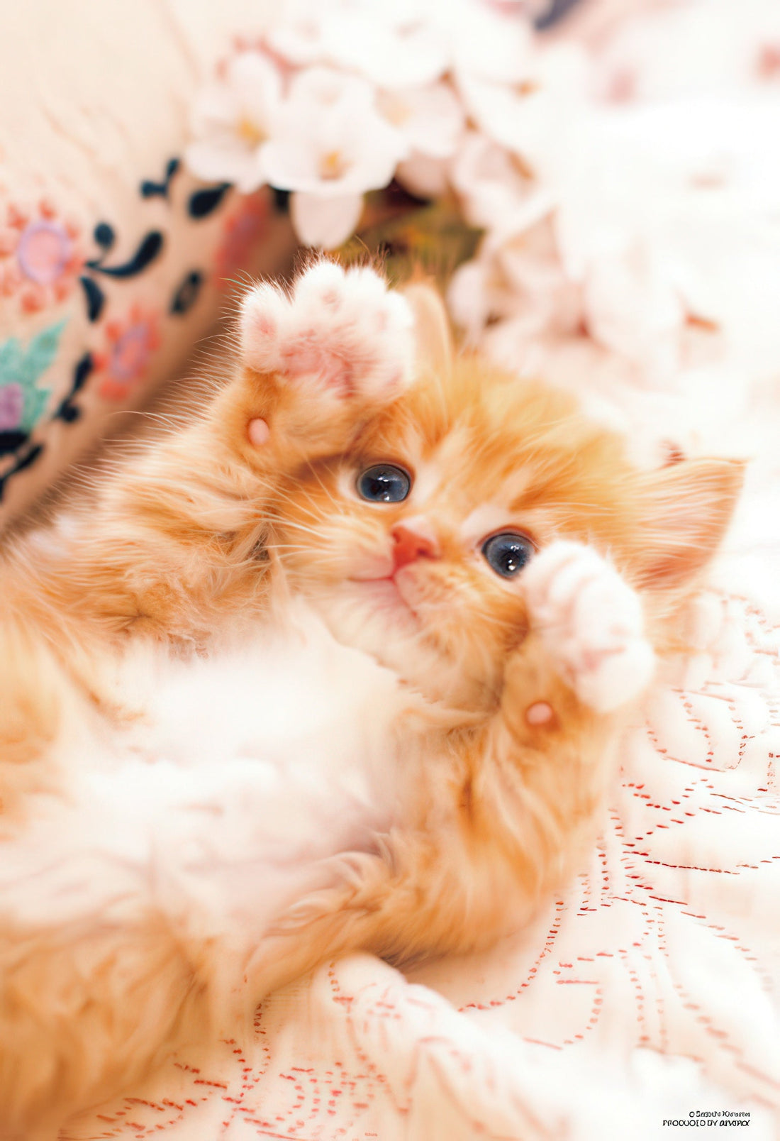 beverly-l74-186-rock-paper-scissors-150-pieces-jigsaw-puzzle