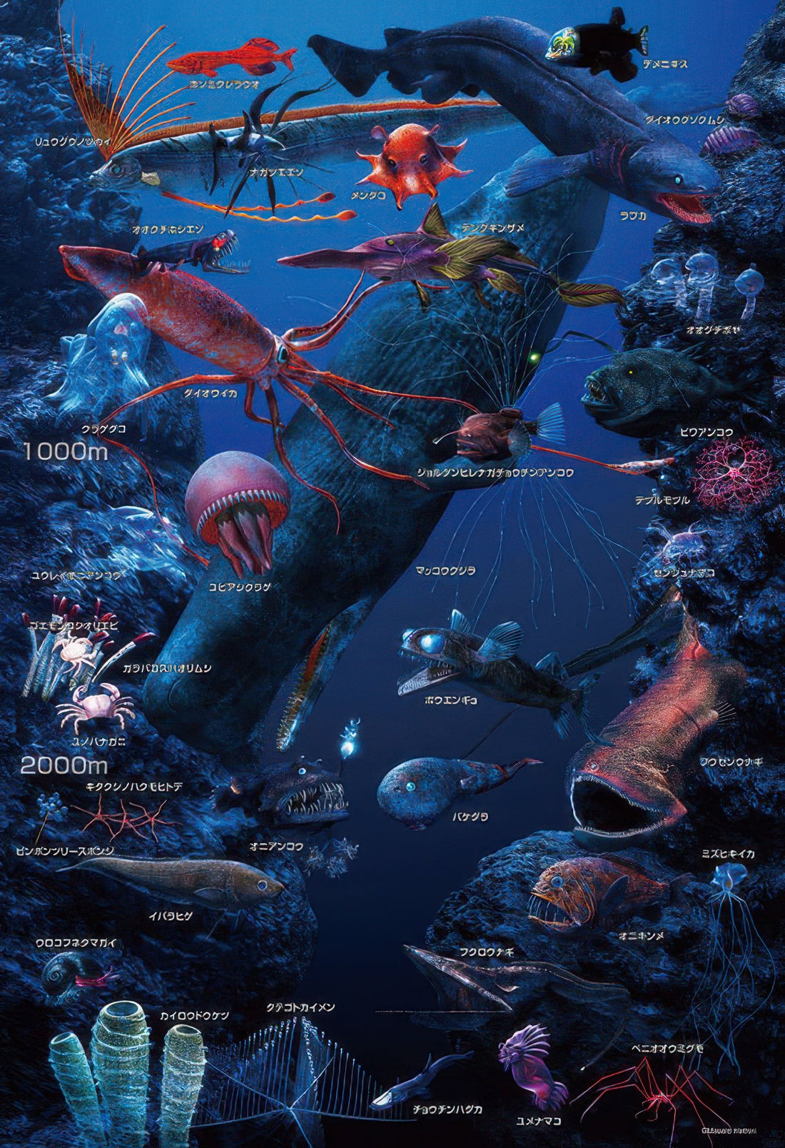 beverly-l74-191-animal-learn-deep-sea-creatures-150-pieces-jigsaw-puzzle