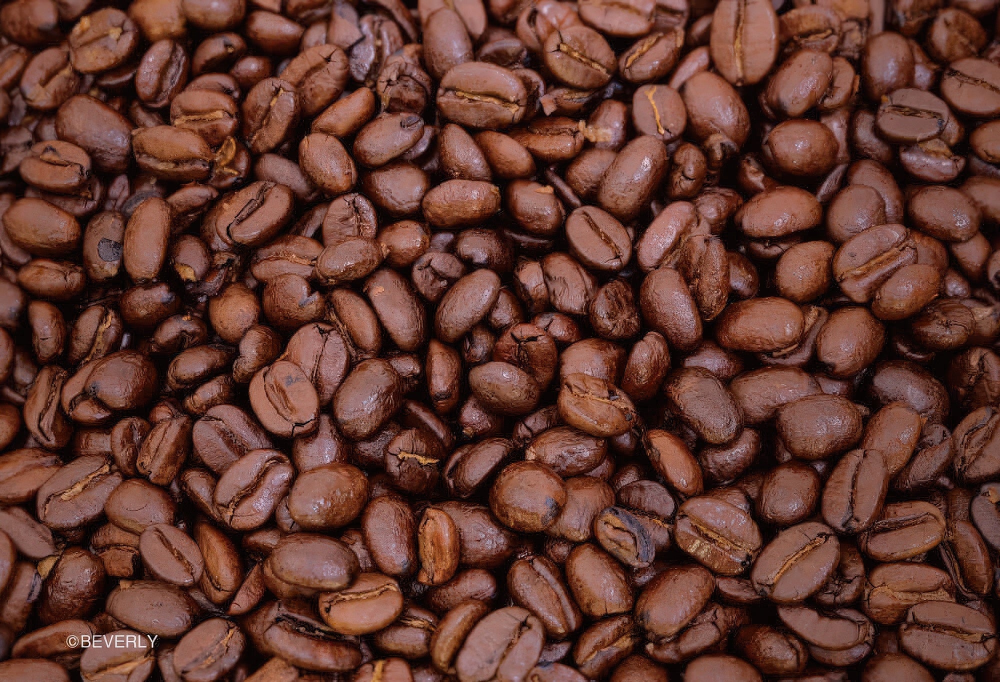 beverly-m108-190-latte-art-108-pieces-jigsaw-puzzle