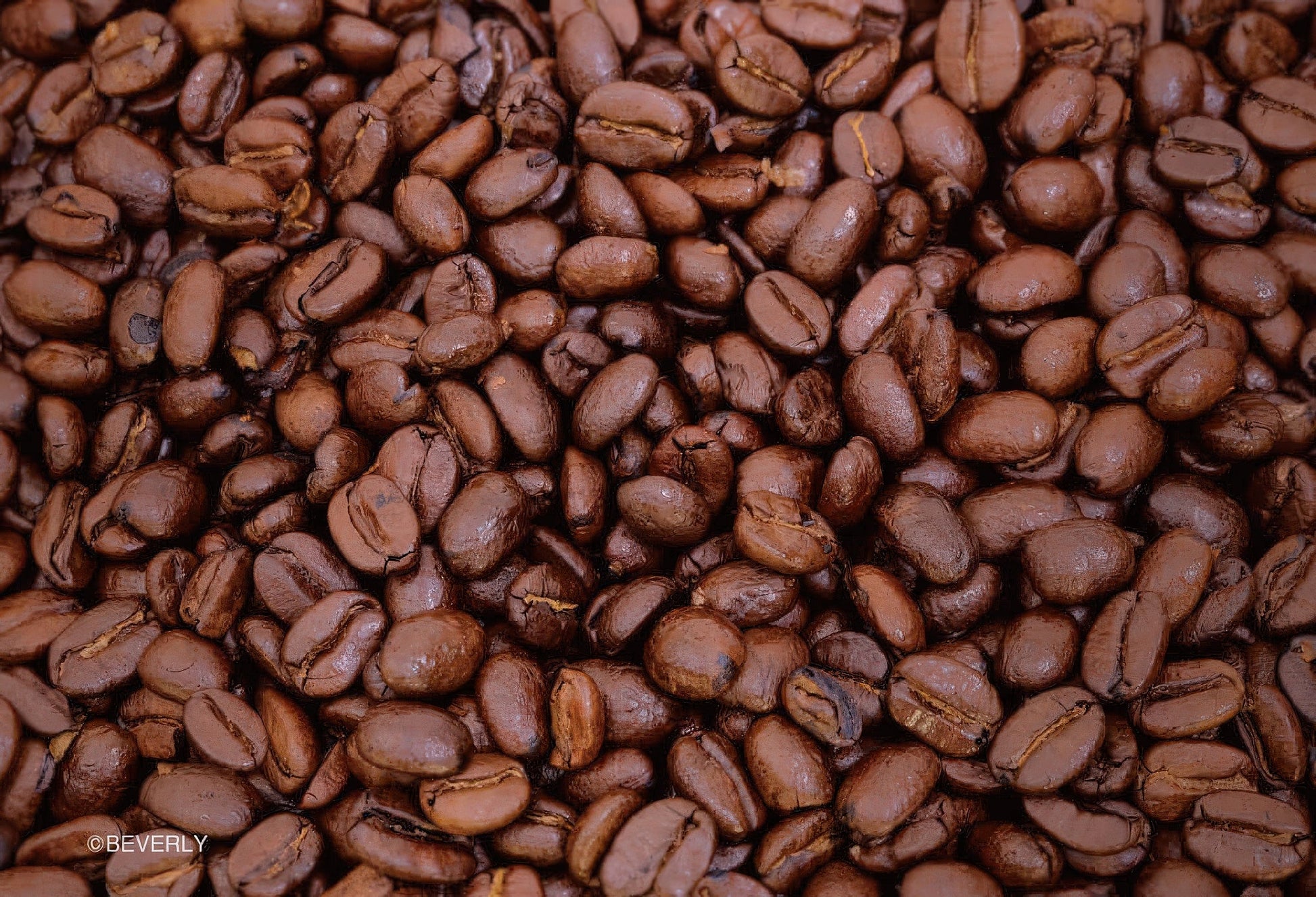 beverly-m108-190-latte-art-108-pieces-jigsaw-puzzle