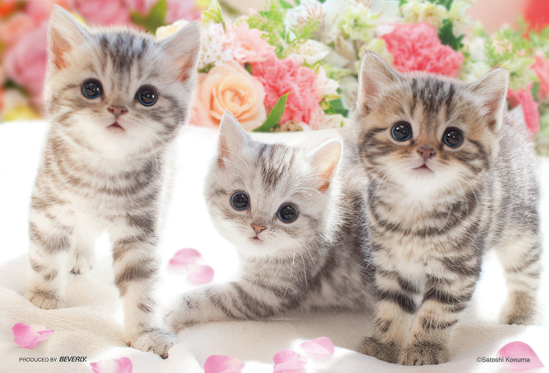 beverly-m108-206-wanna-play?-108-pieces-jigsaw-puzzle