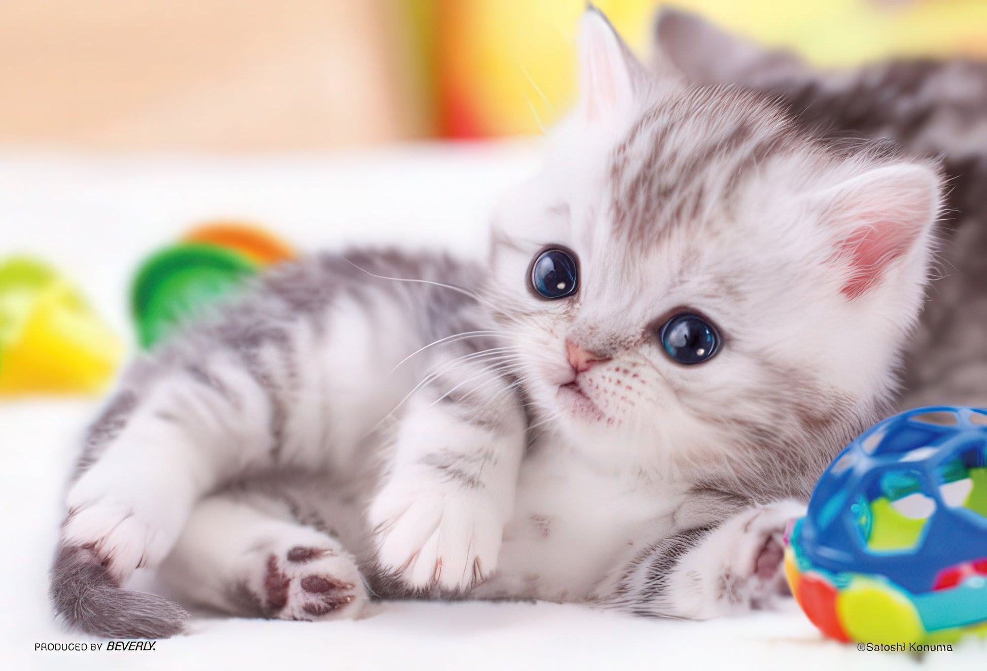 beverly-m108-207-kinkaku-ji-temple-108-pieces-jigsaw-puzzle